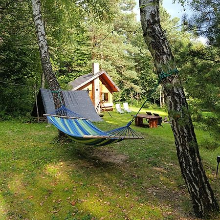 Survivalowa Chata W Lesie Bukowsko Exteriér fotografie